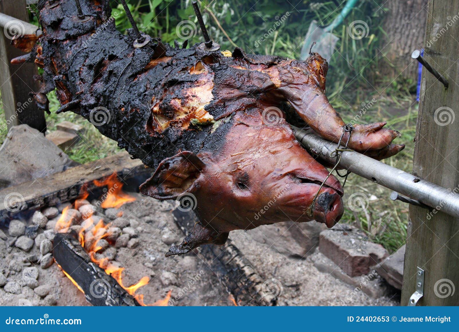 Whole Pig Roasting Over A Fire Stock Photos Image 24402653