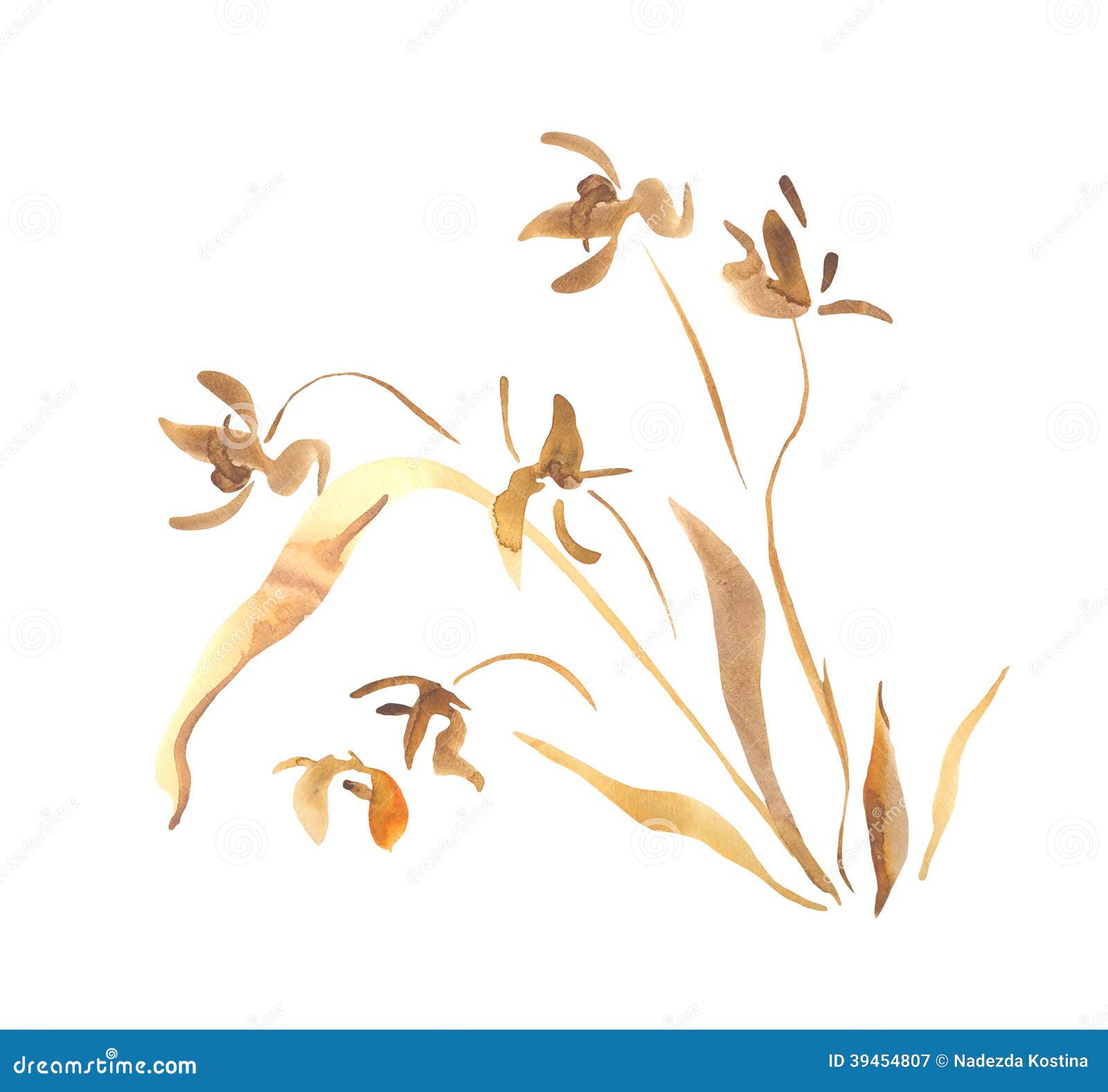 Orchid Art Drawing Orchid Art Drawing