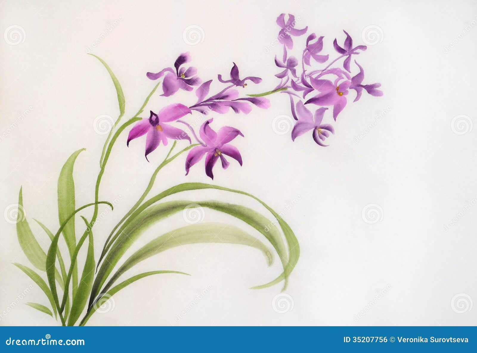 Purple Orchid Drawing