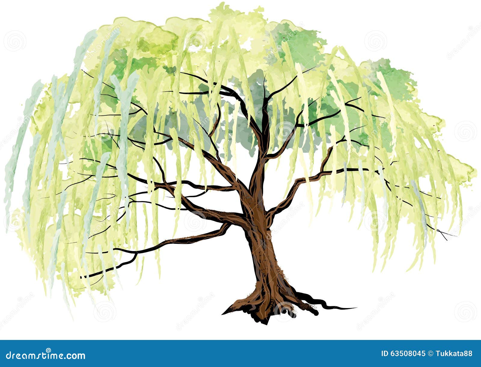 willow tree clip art images - photo #17