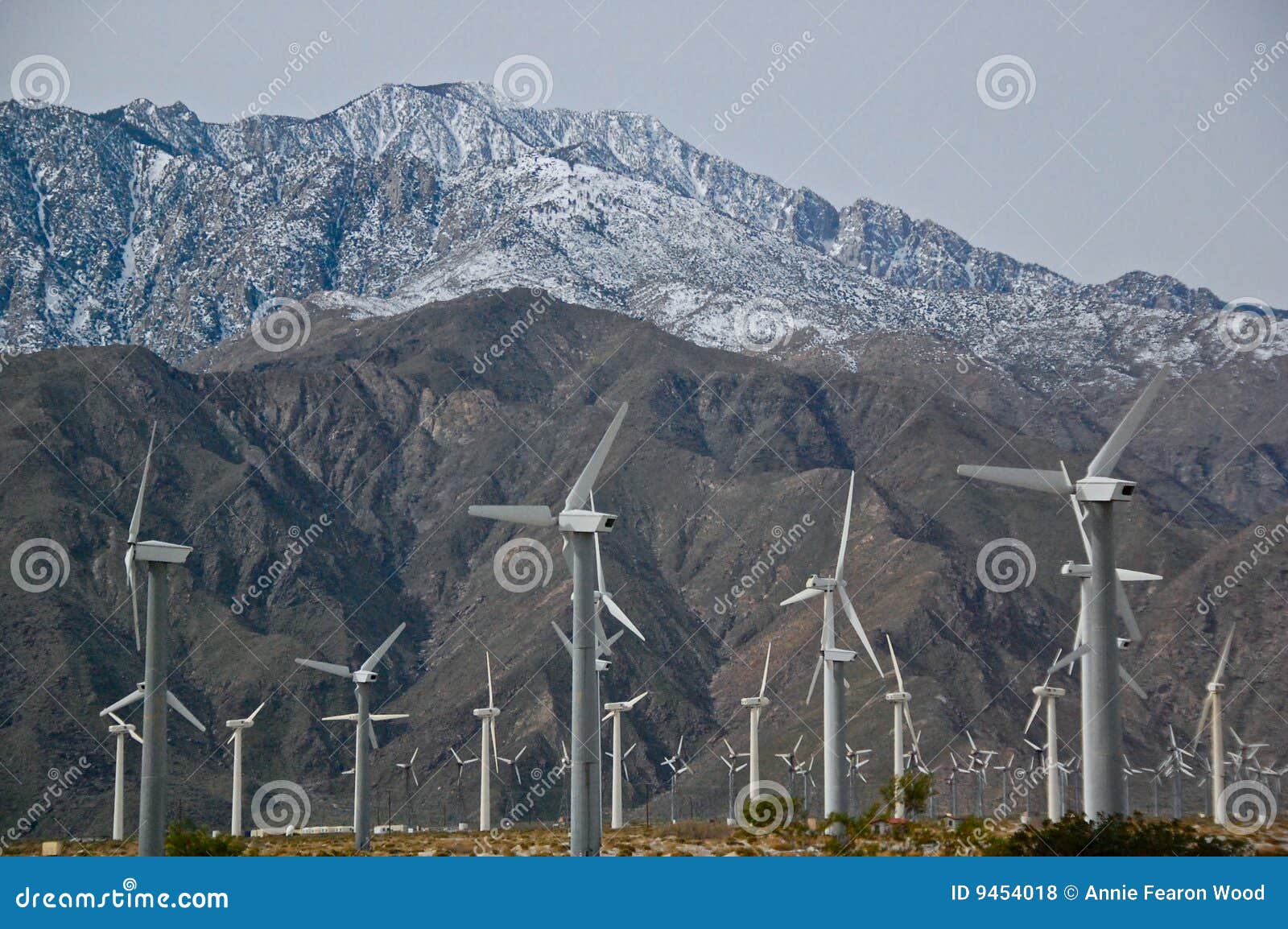 Wind Turbines Palm Springs