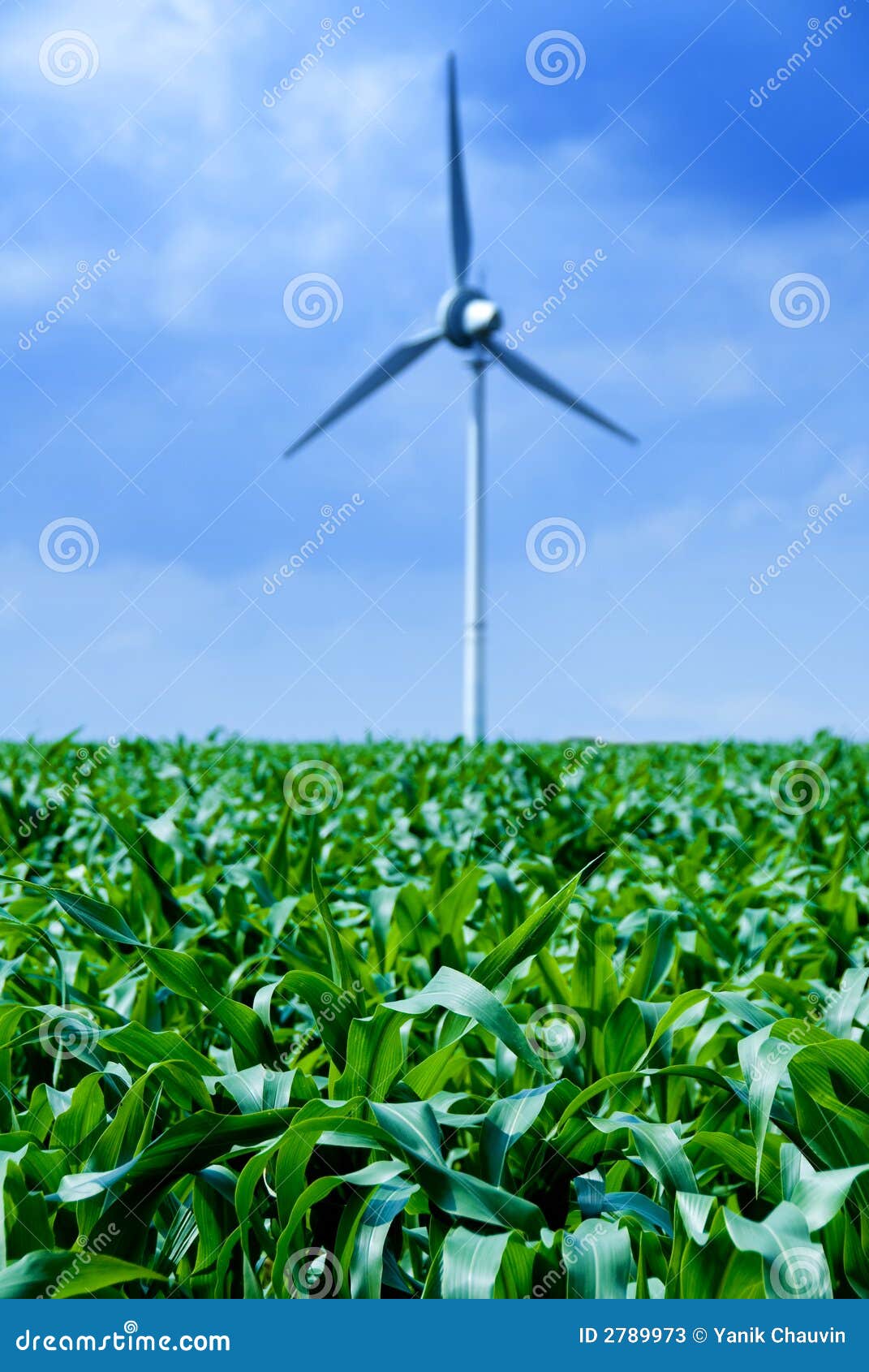 Wind Power Stock Photos Image 2789973