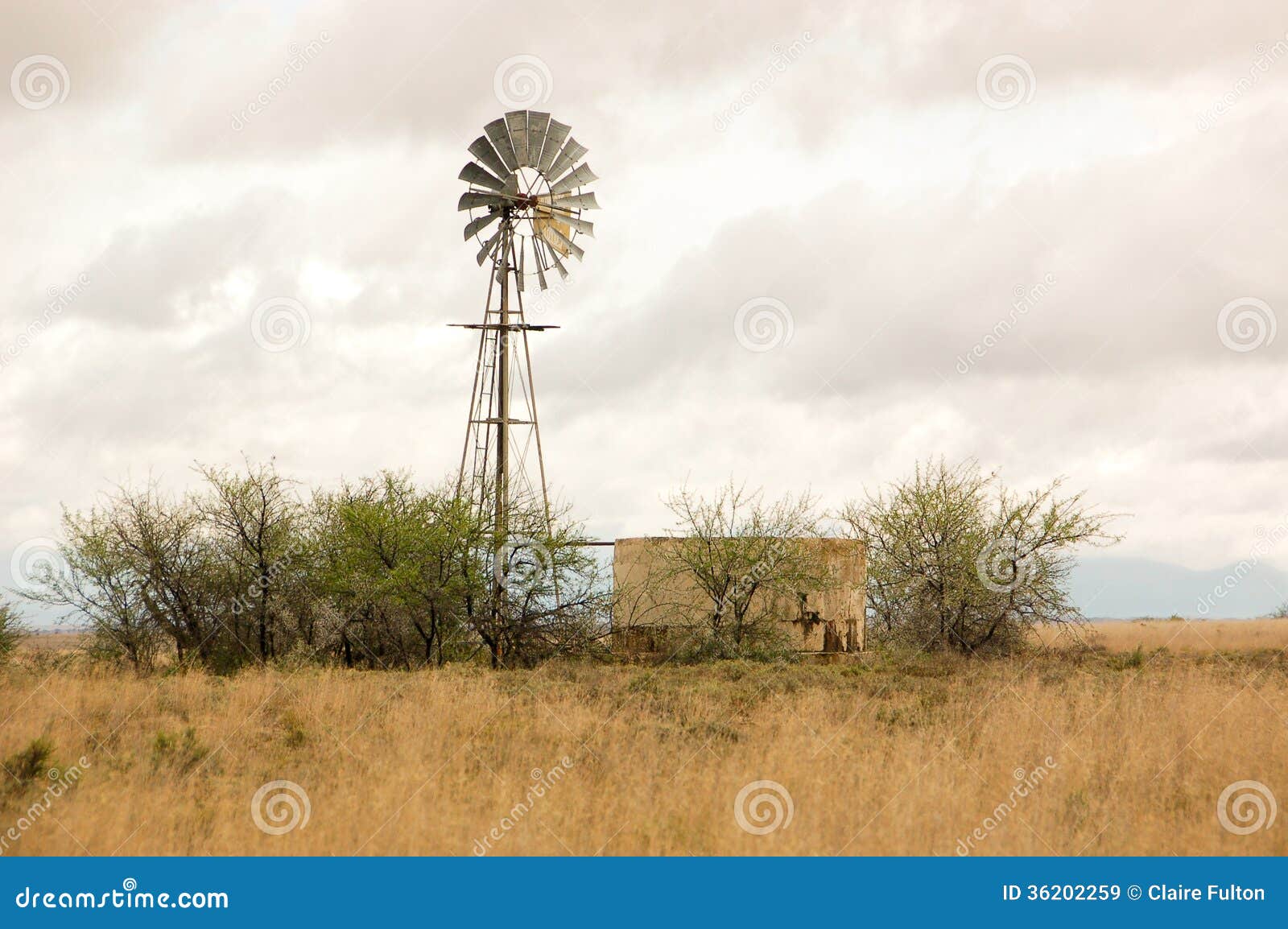  Karoo region of South Africa with windmill water pump and round dam