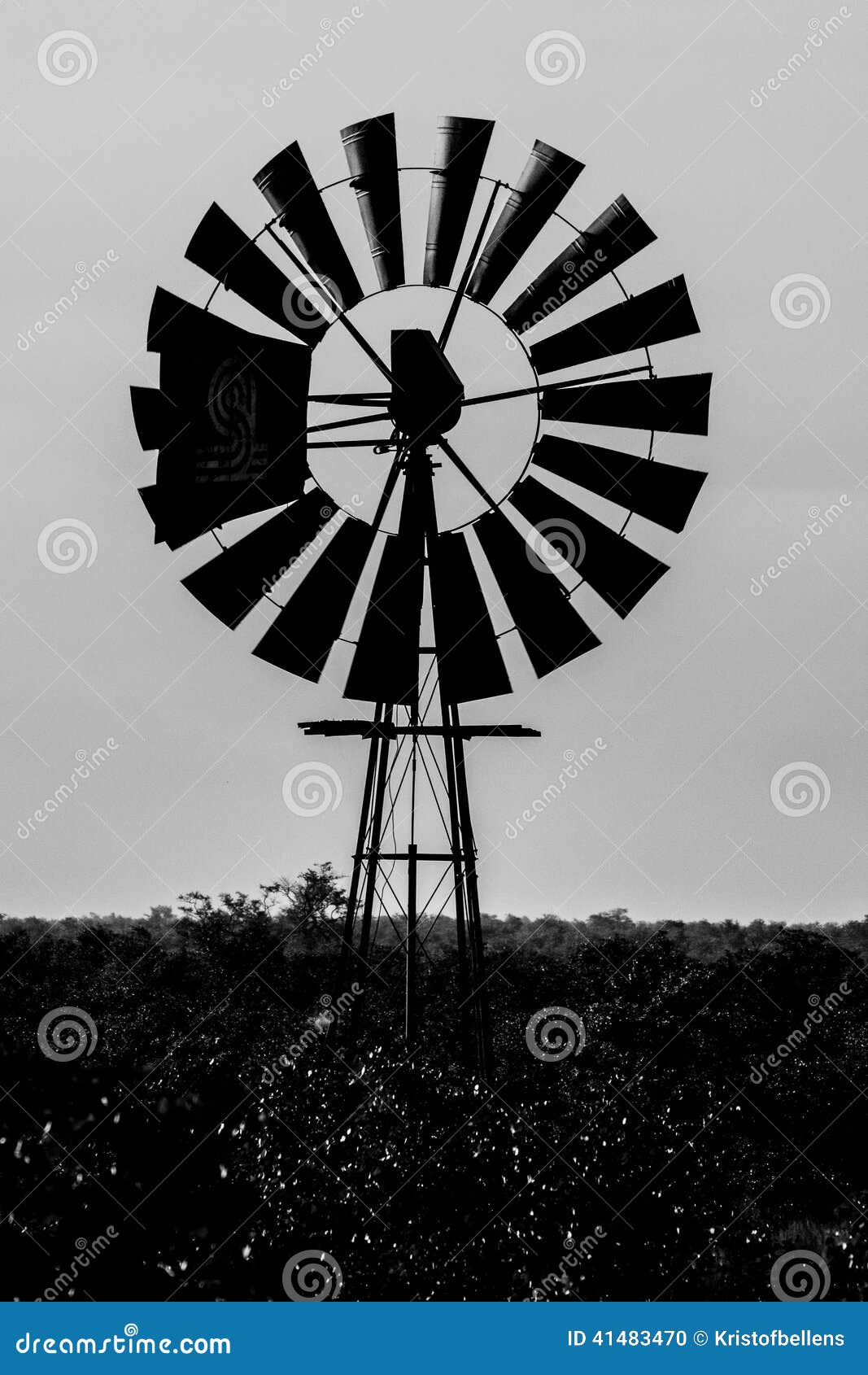 Silhouette of an old-style farm windmill standing in the bush.