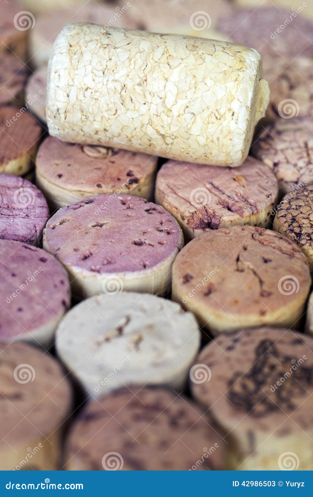 Blank wine cork on the surface of many different corks background.