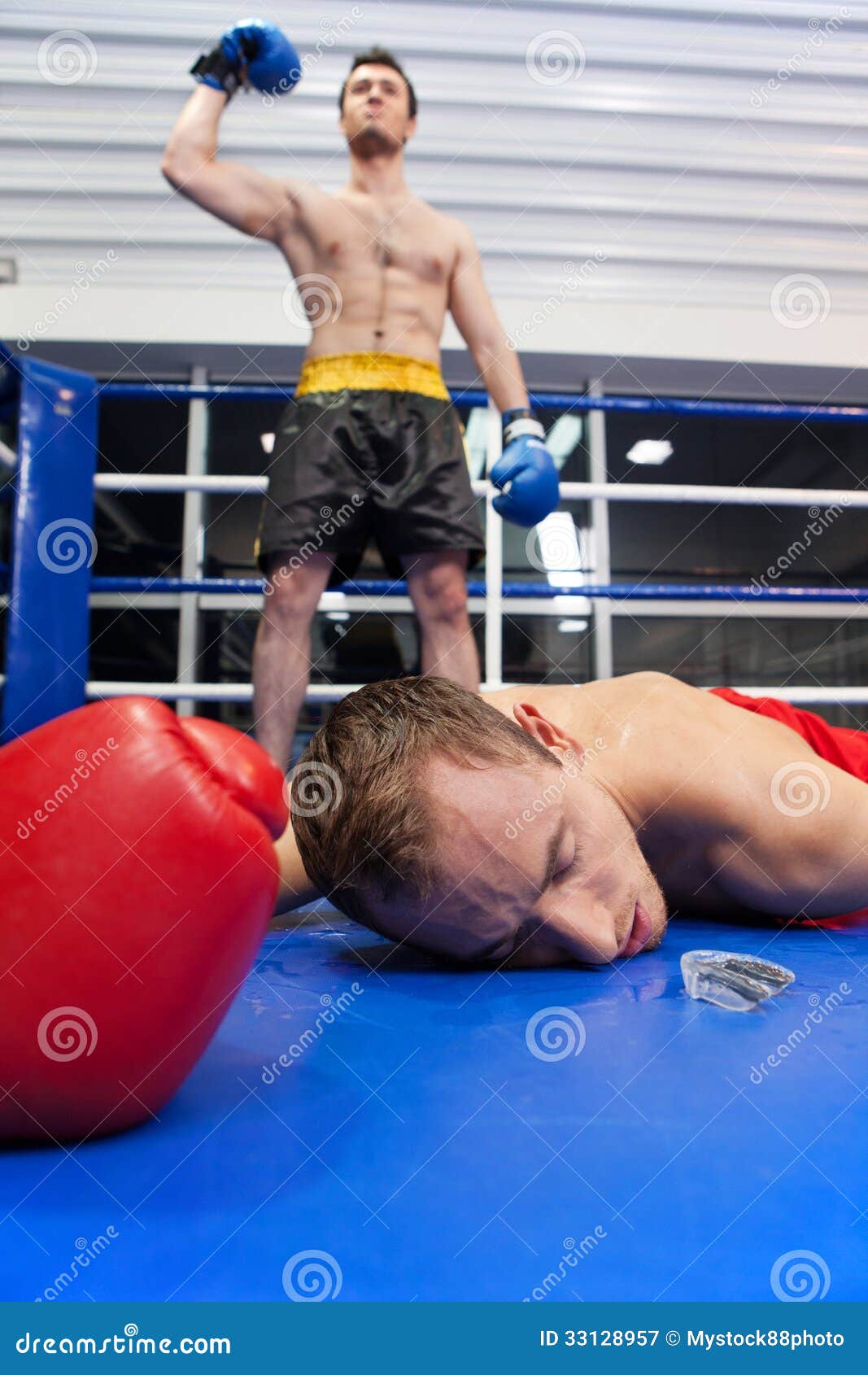 winner-loser-confident-young-boxer-keeping-his-arm-raised-his-opponent-lying-down-boxing-ring-33128957.jpg