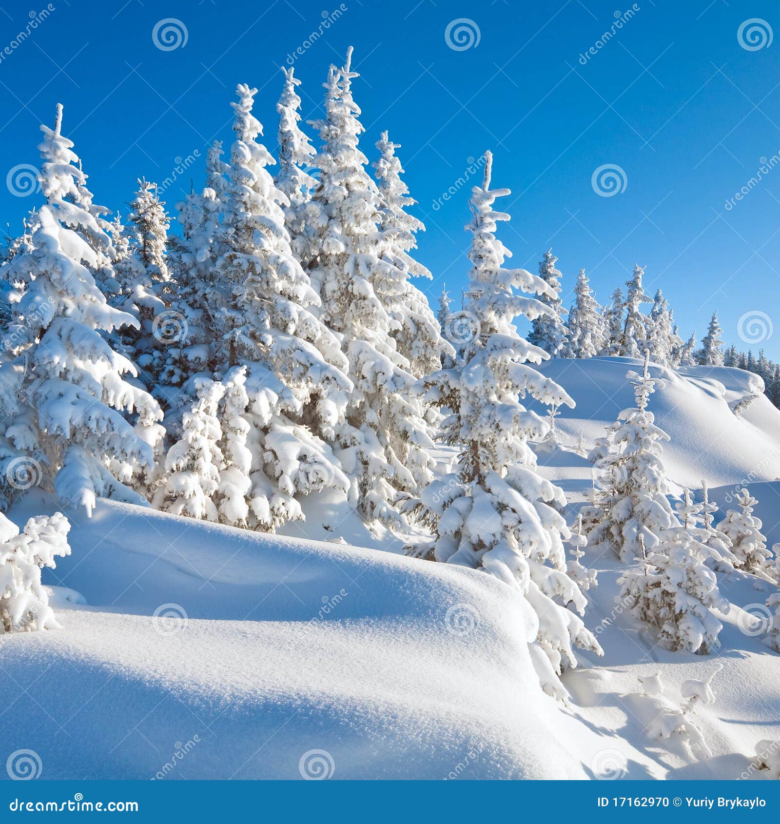 Winter Mountain Landscapes