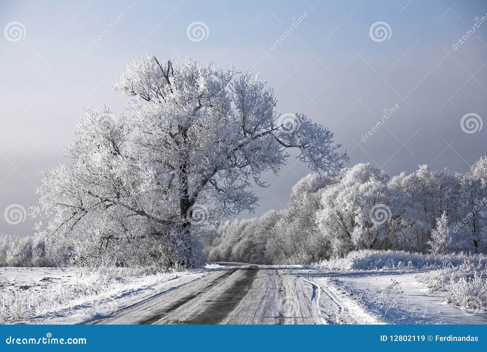 winter-road-landscape-frosted-trees-rime