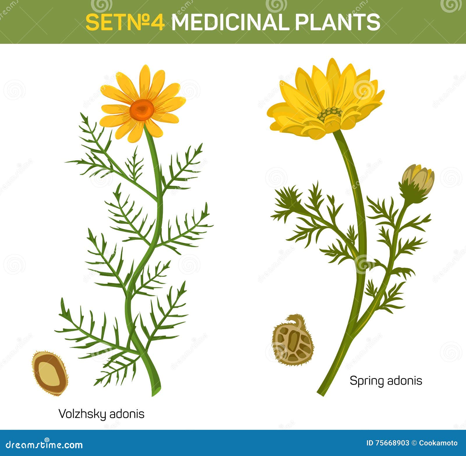 download PEDIATRICS ON