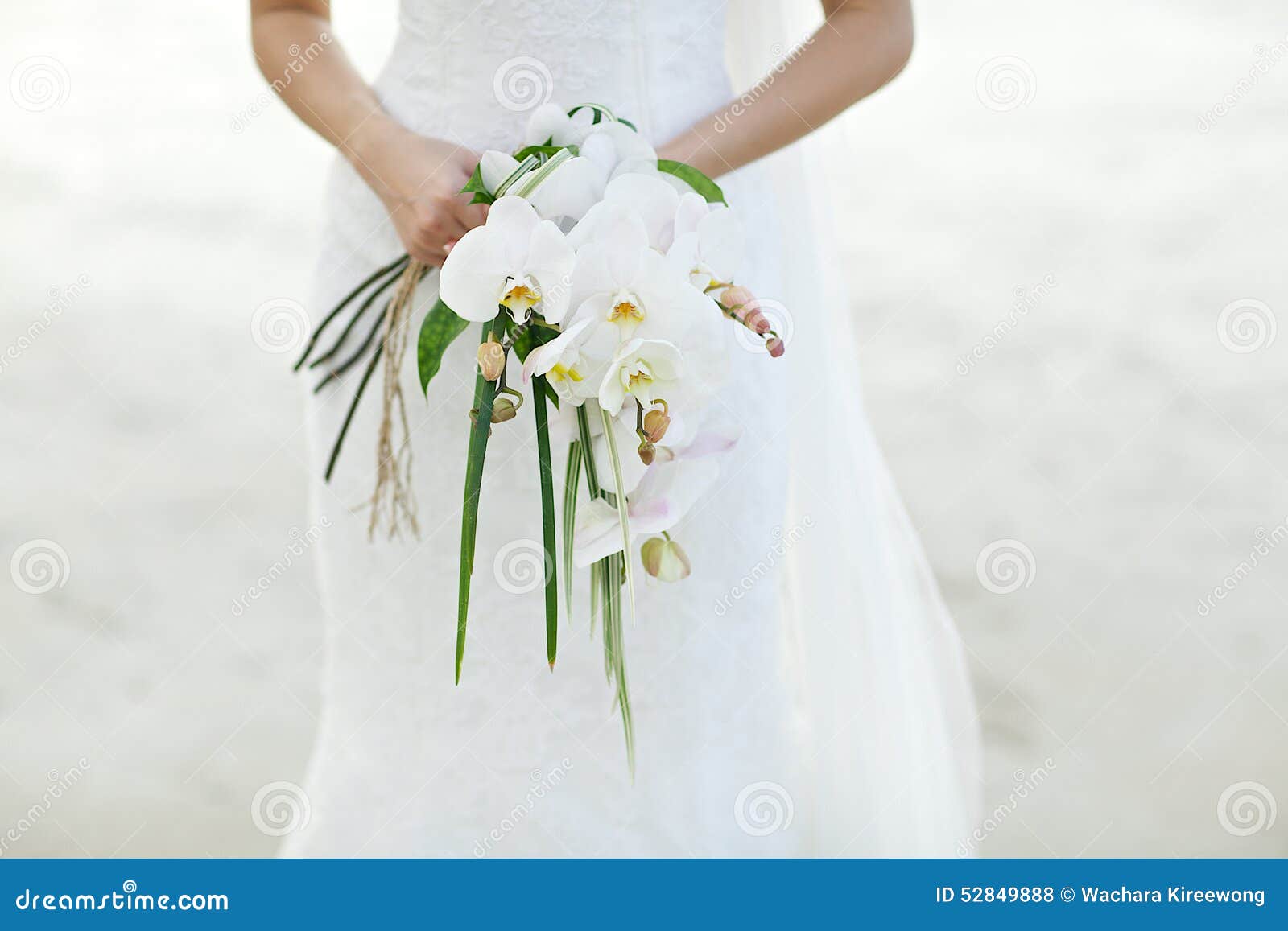 woman holding white orchid wedding bouquet beach background young 52849888
