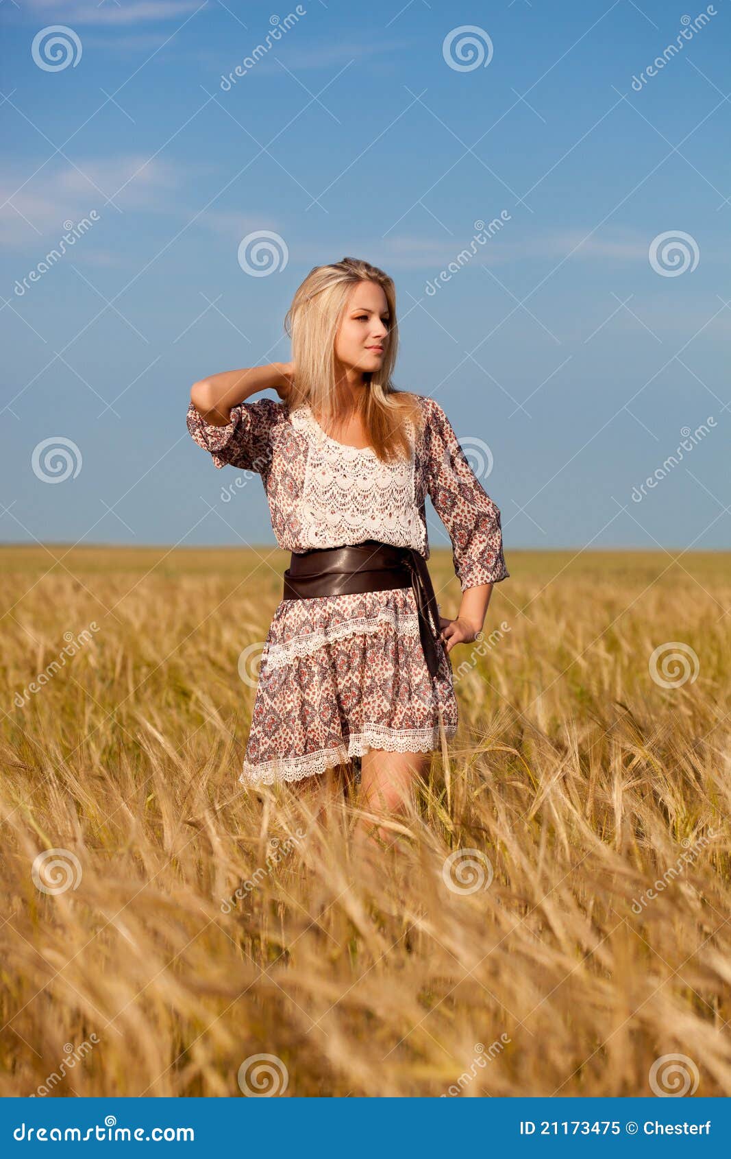 Young Woman In A Wheat Golden Field Stock Photo - Image of 