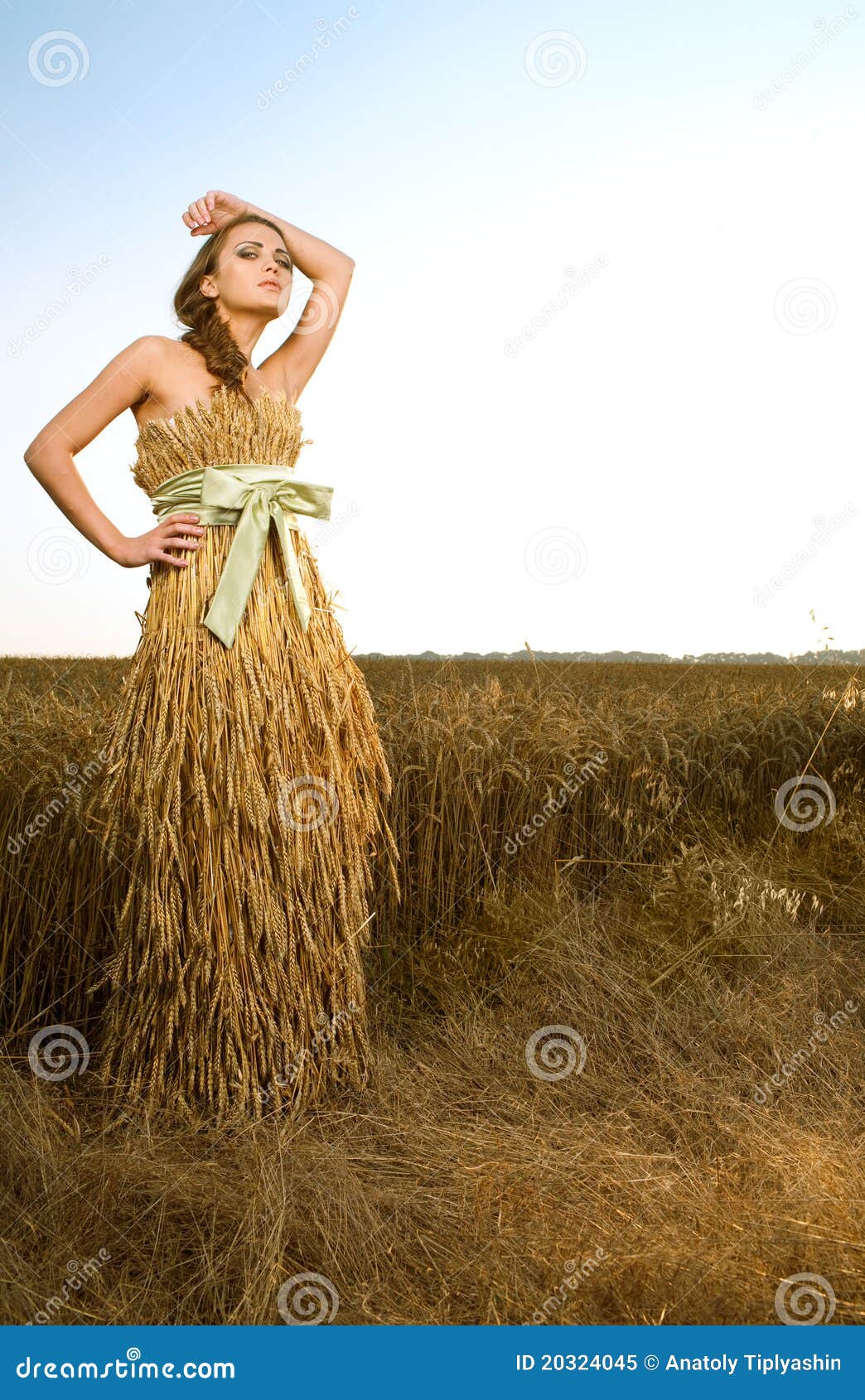 Girl In Wheat Field Stock Photo - Image: 50241022