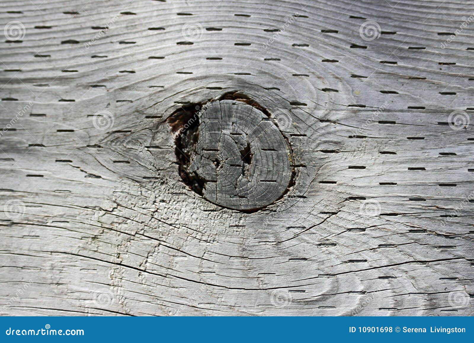 wood-knot-hole-10901698.jpg