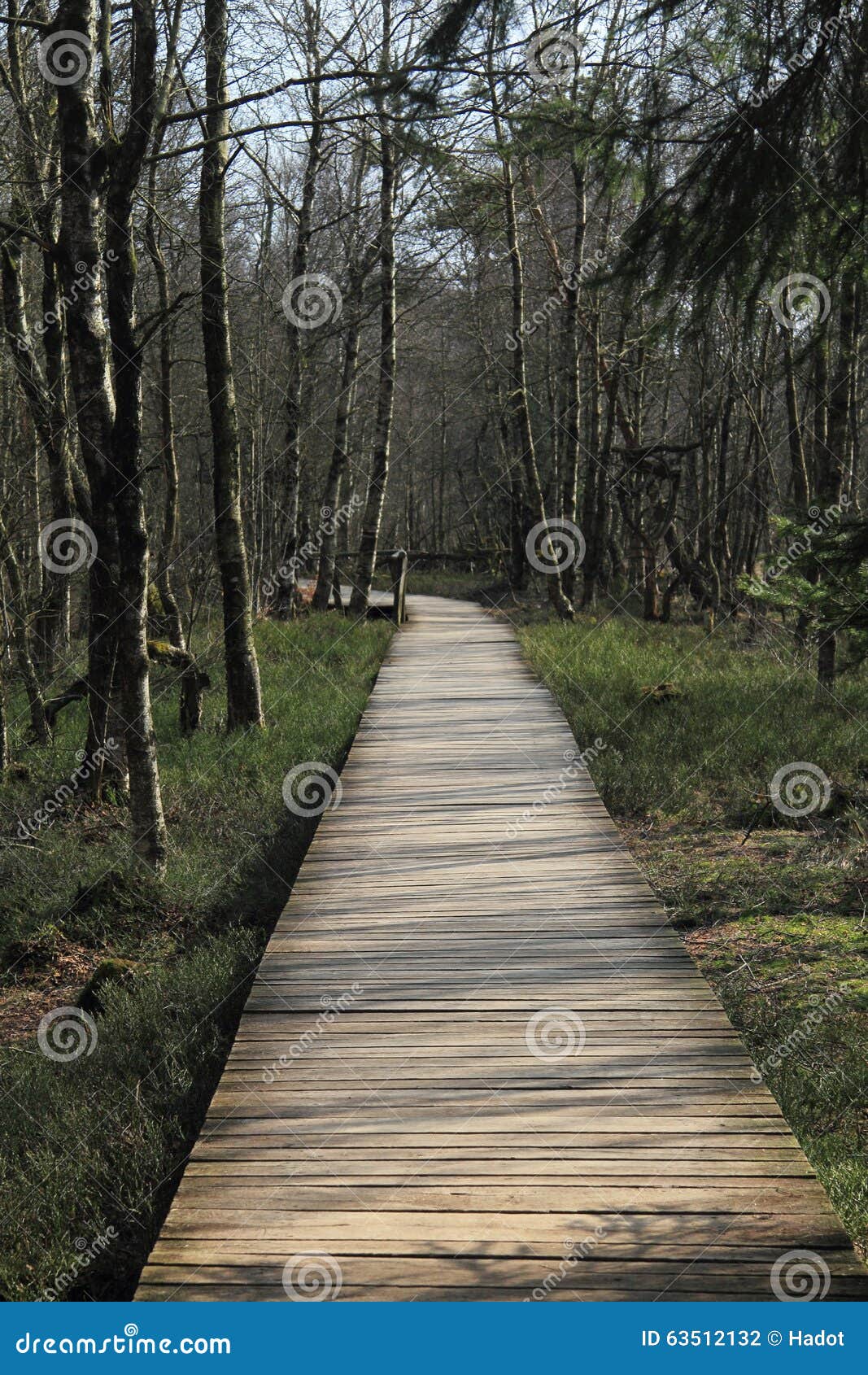 Wooden Footbridge Stock Photo - Image: 63512132