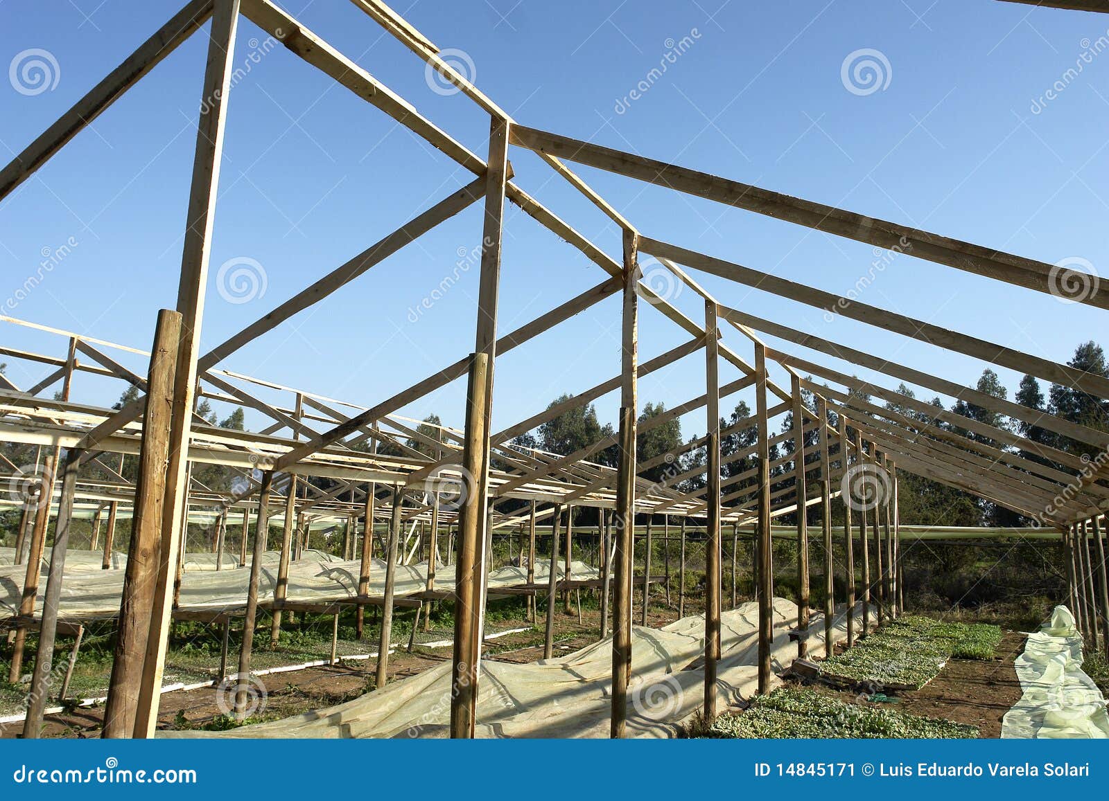 Wooden Greenhouse. Stock Image - Image: 14845171