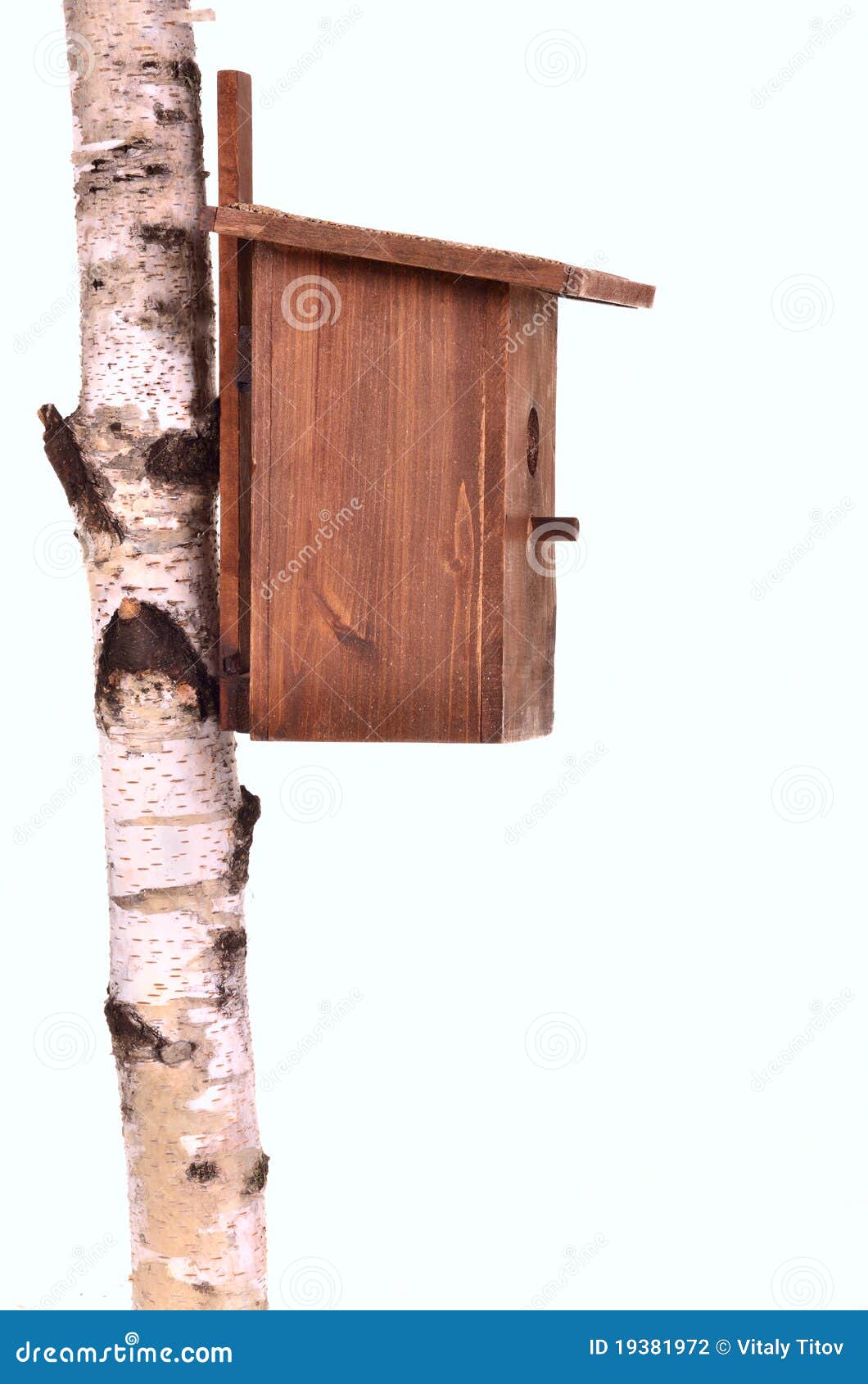  stock images of ` Wooden starling-house on a birch trunk isolated