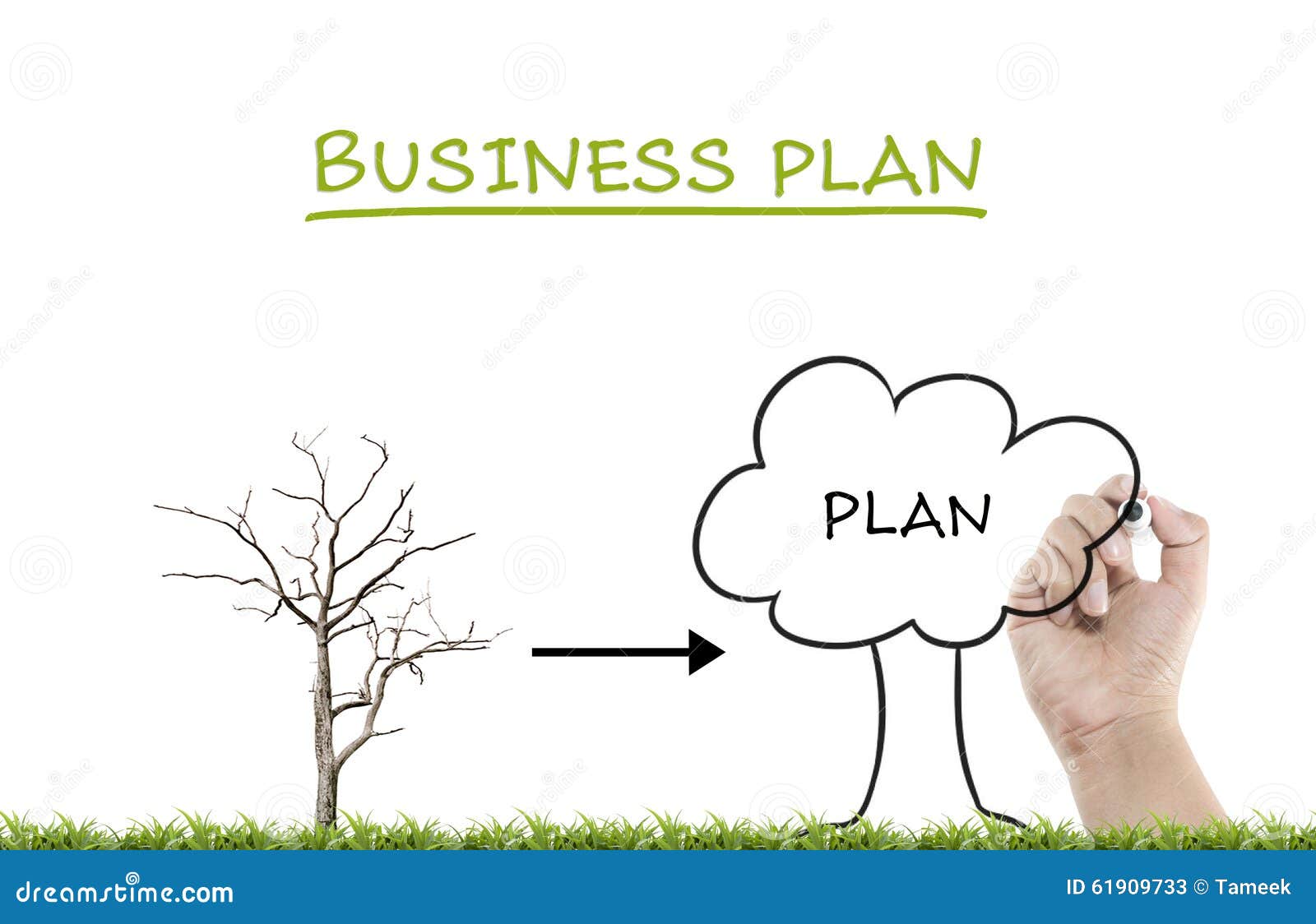 business plan writing services nyc