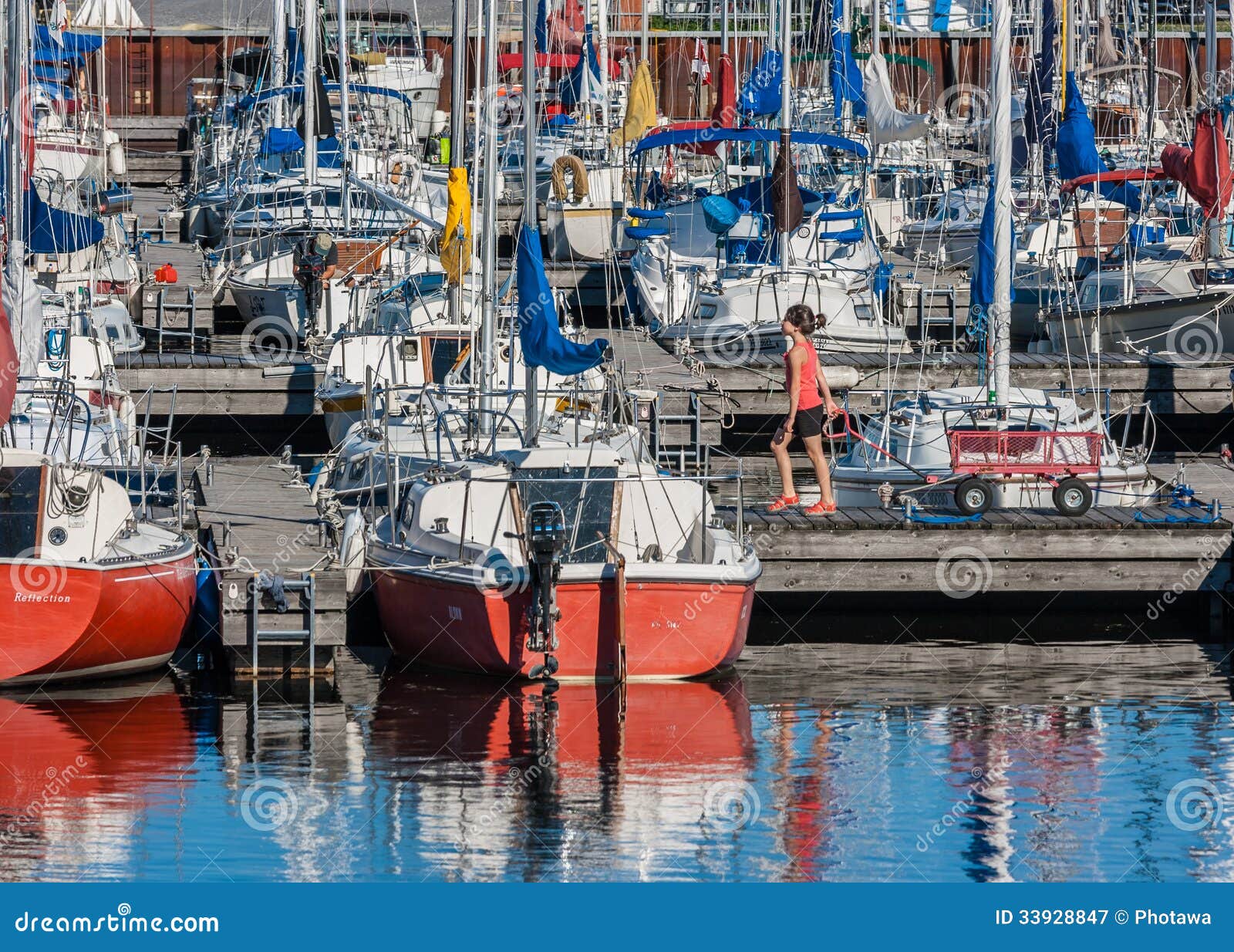  - yachts-nepean-sailing-club-ottawa-canada-july-moored-july-dick-bell-park-ottawa-river-ottawa-ontario-33928847