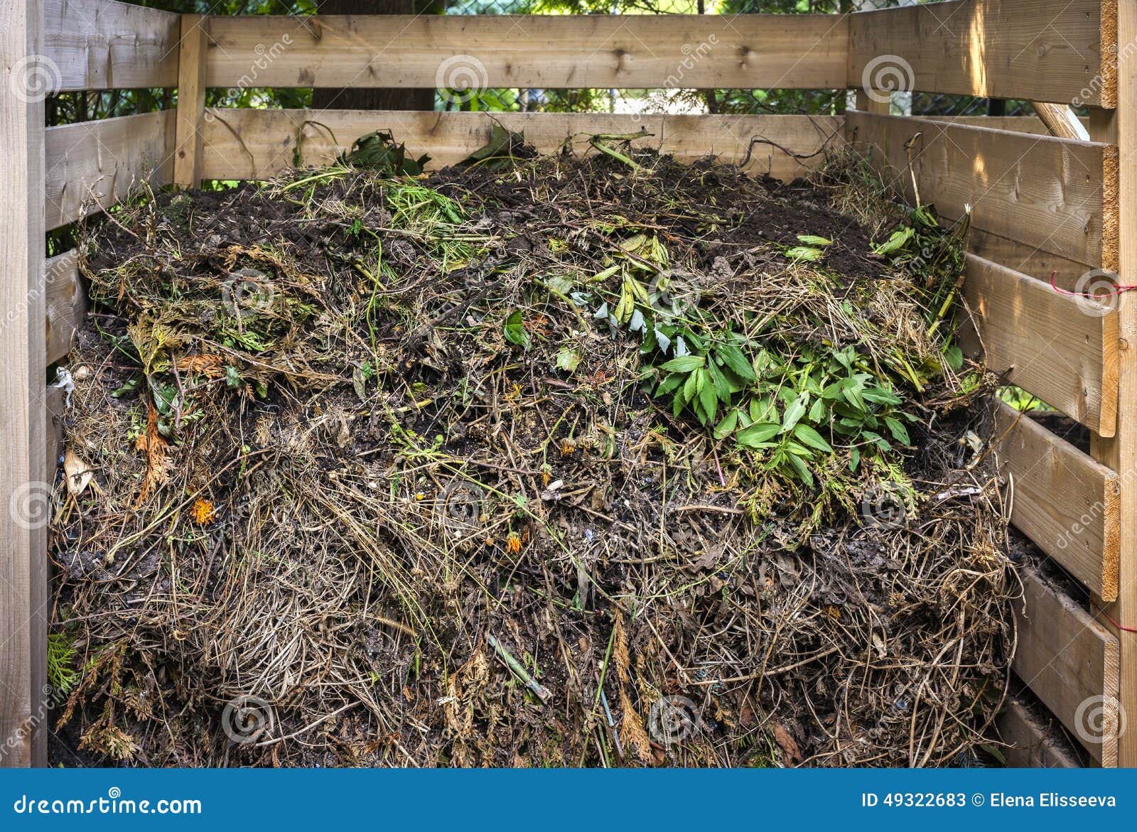 Yard Waste In Compost Bin Stock Photo - Image: 49322683