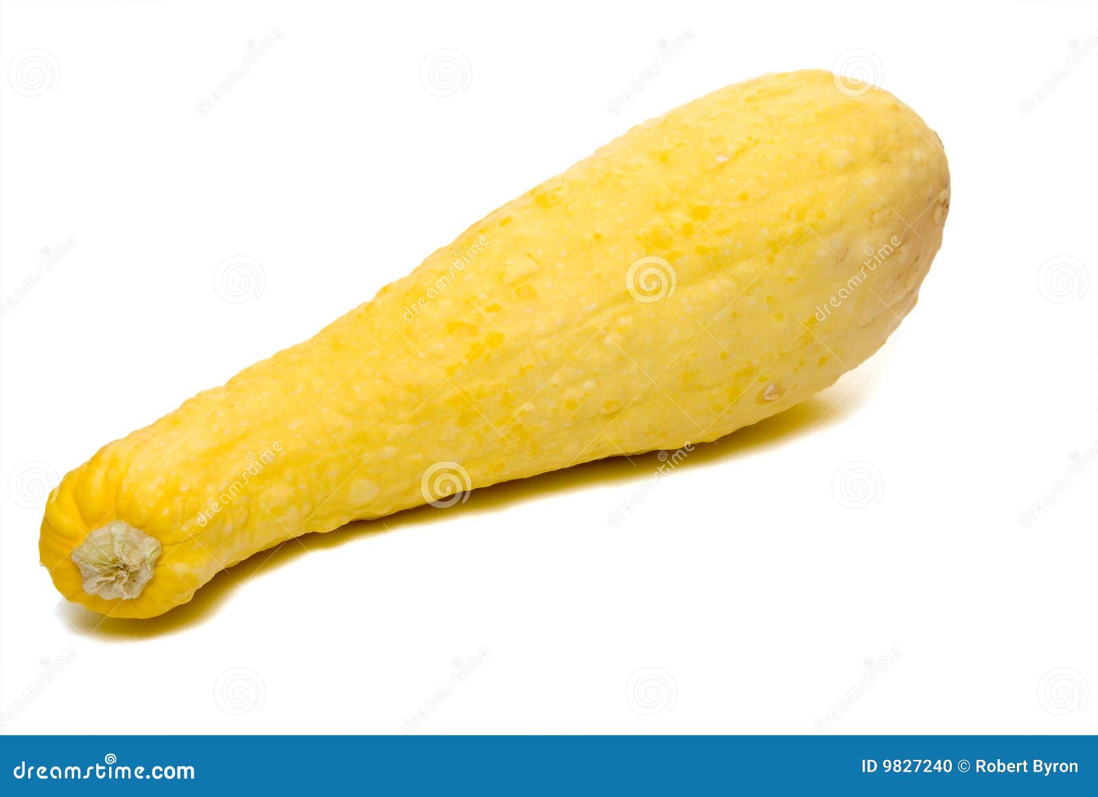 yellow squash clipart - photo #2