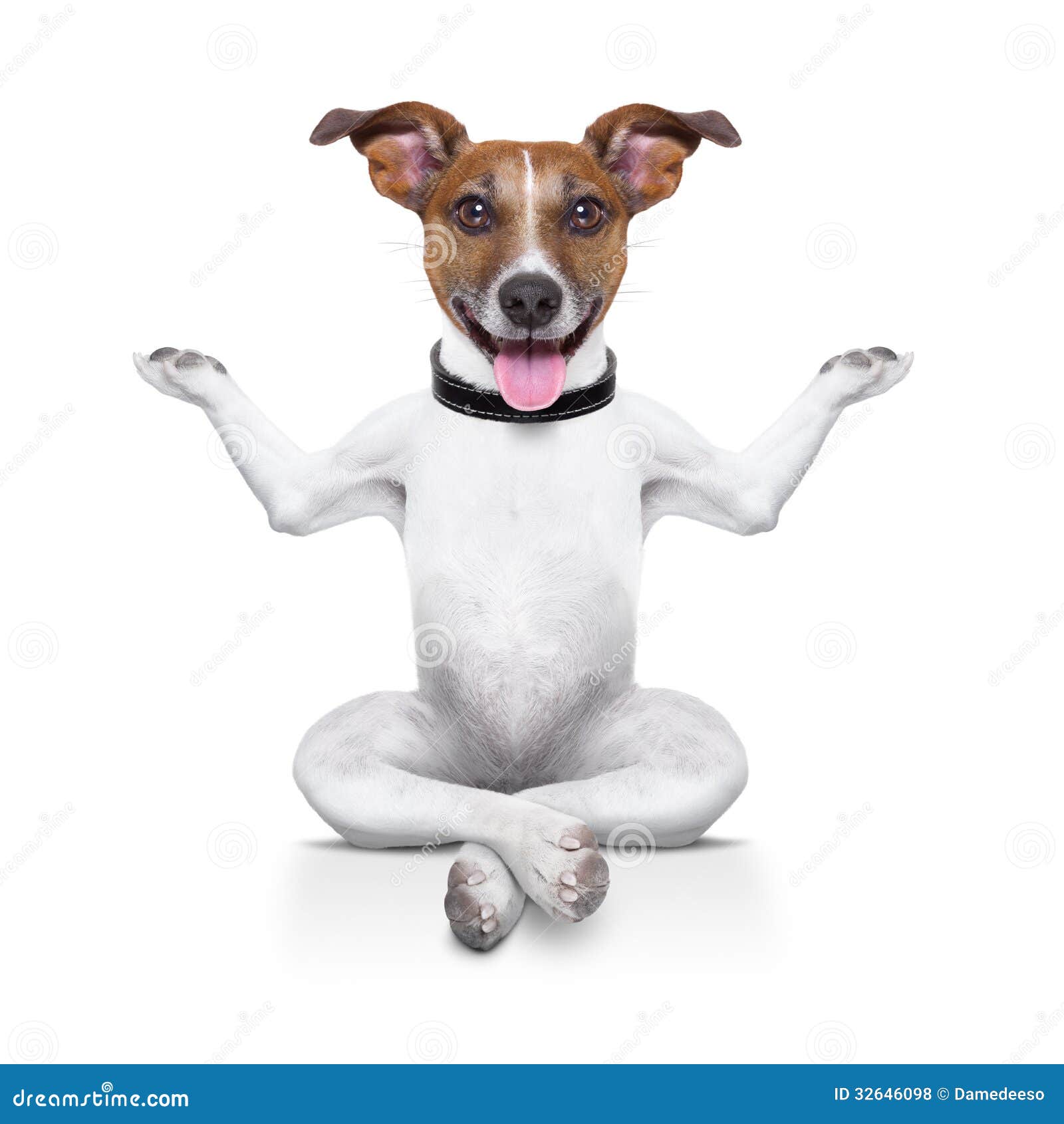 Yoga Dog Royalty Free Stock Photos - Image: 32646098