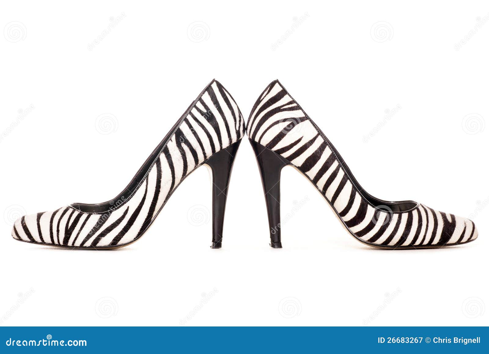 Zebra Pattern High Heel Shoes Royalty Free Stock Photography - Image ...