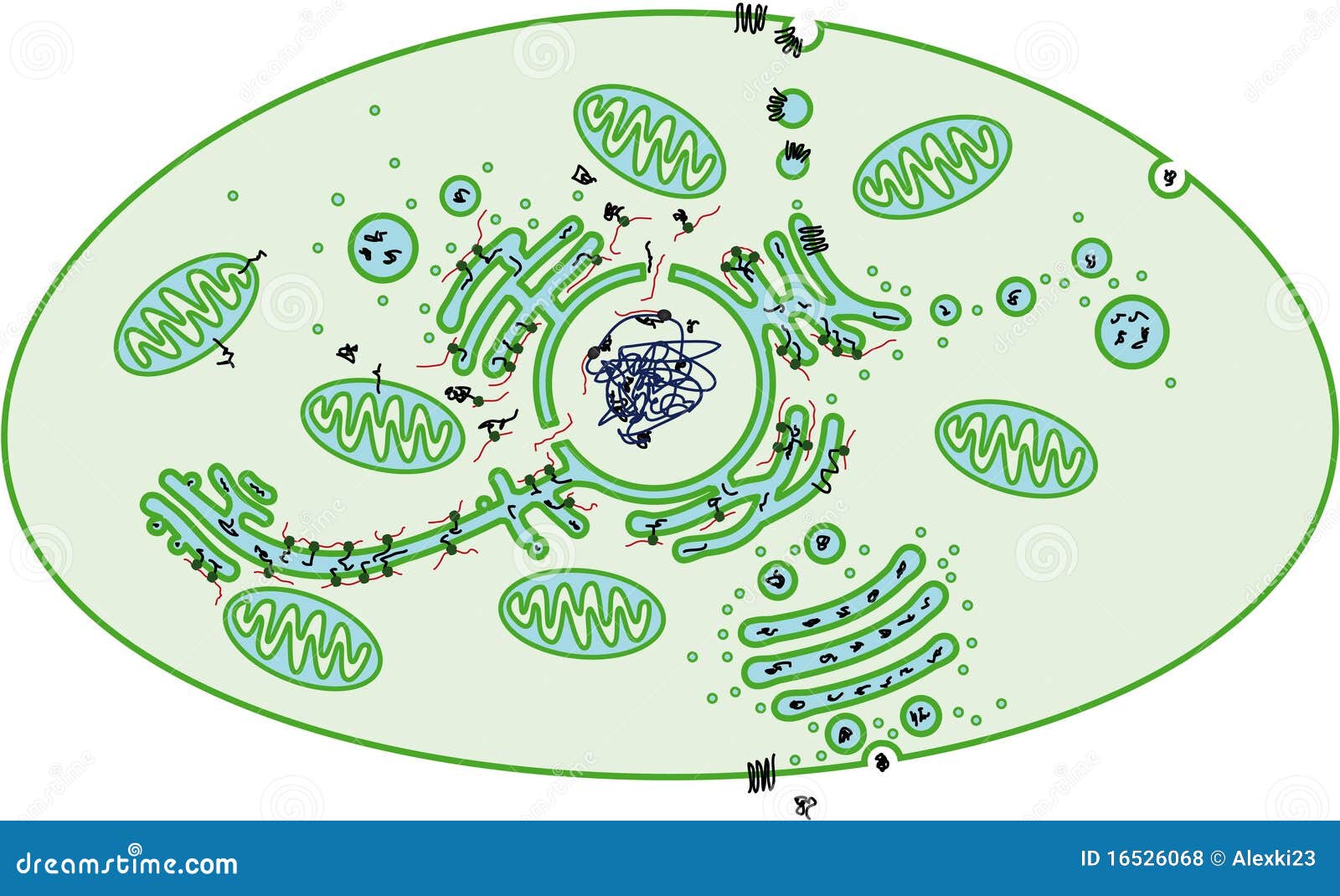 Zelle Lizenzfreie Stockfotos Bild 16526068