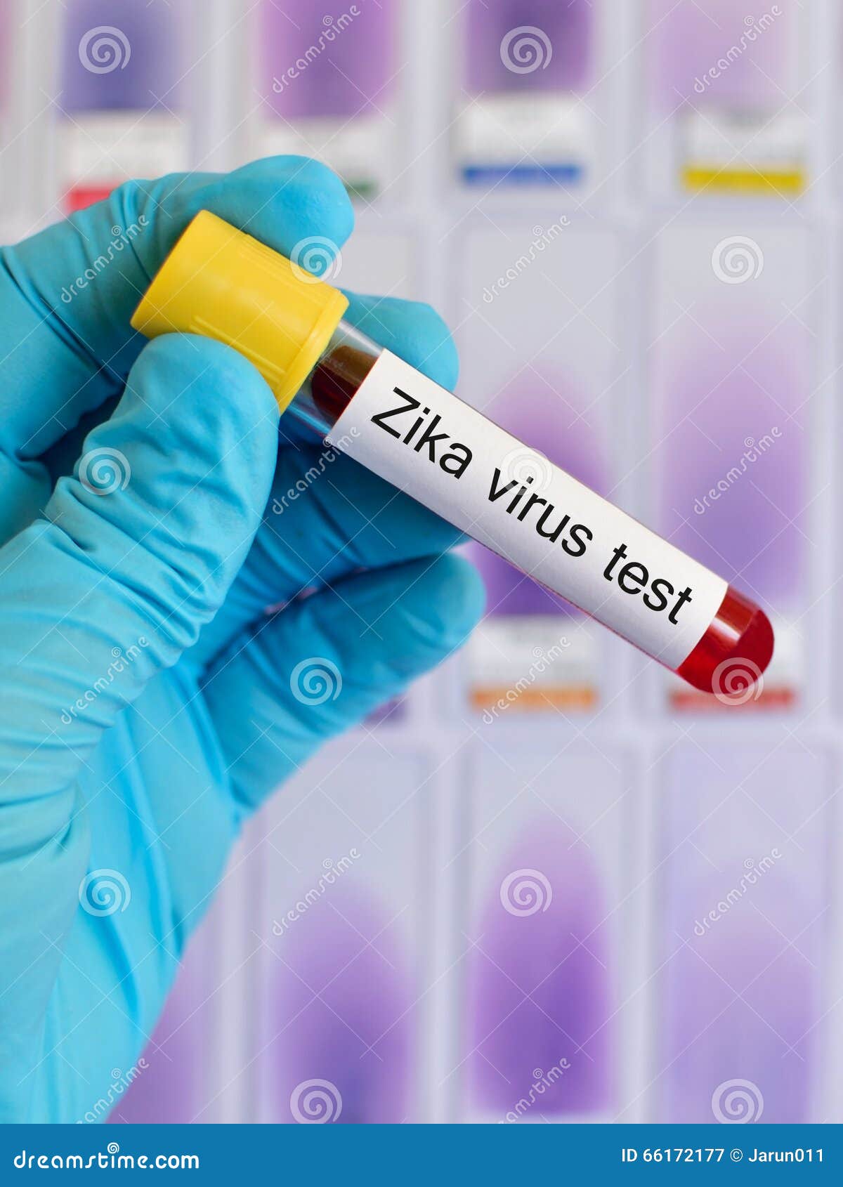 Virus Test Virus Test