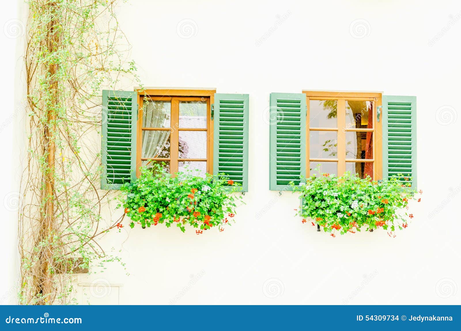 Zwei Braune Fenster Mit Grünen Fensterläden Und Blumen