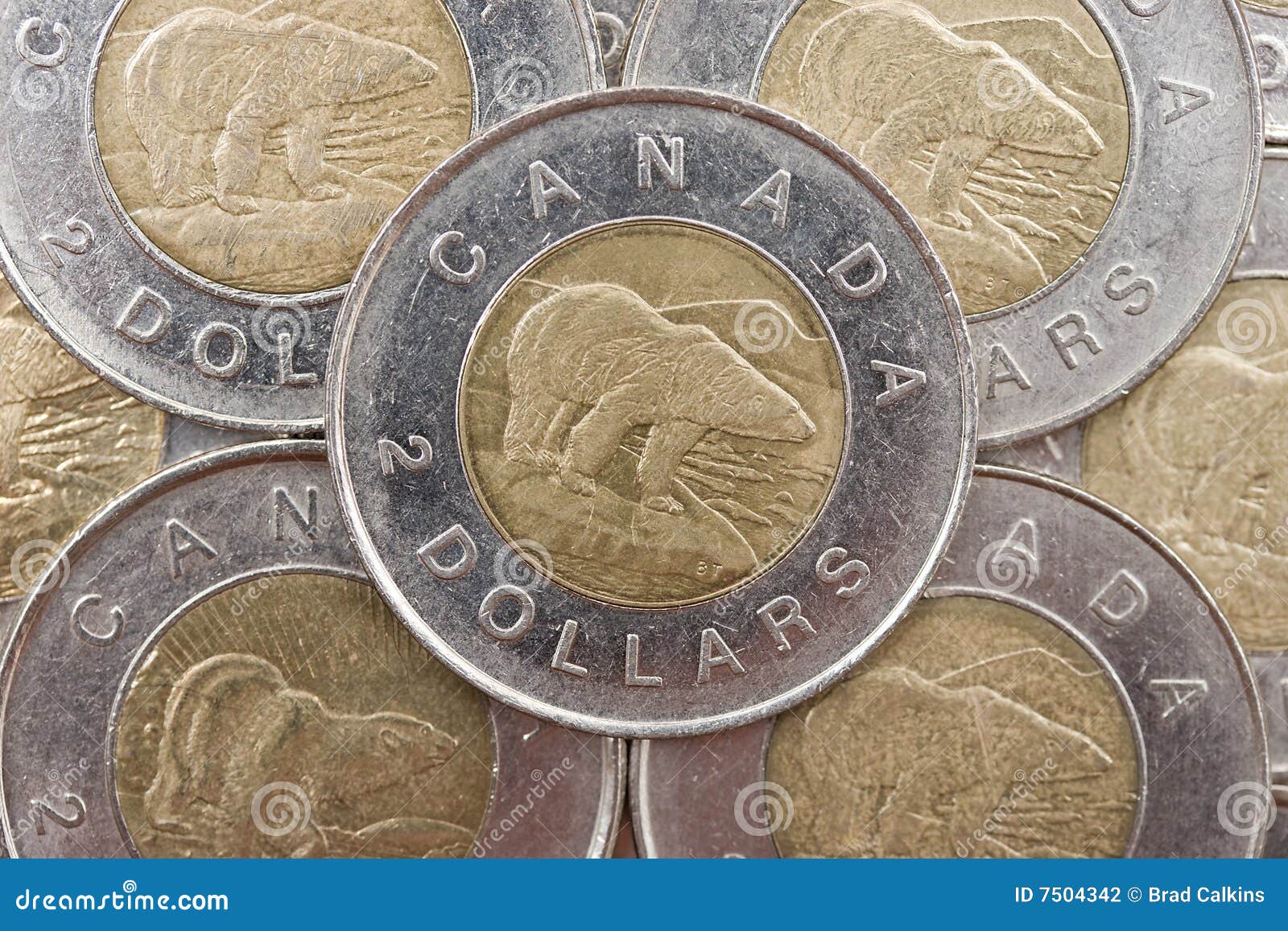 加拿大硬币_各国钱币图片 - 随意云