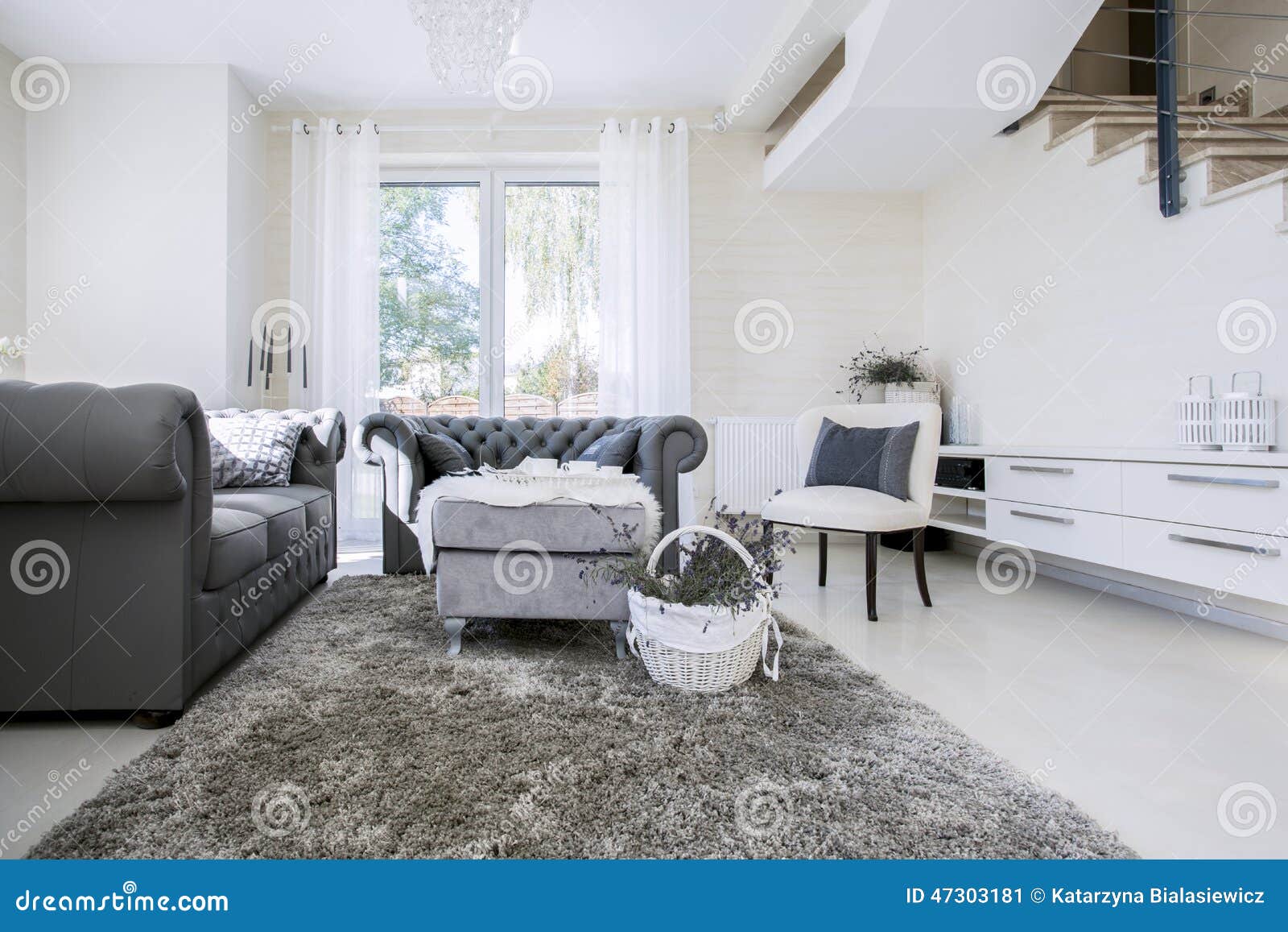 Grey Walls Color Accents 有灰色沙发的白色客厅 库存照片 图片 47303181 Grey Walls Color Accents 有灰色沙发的白色客厅 库存照片 图片 47303181