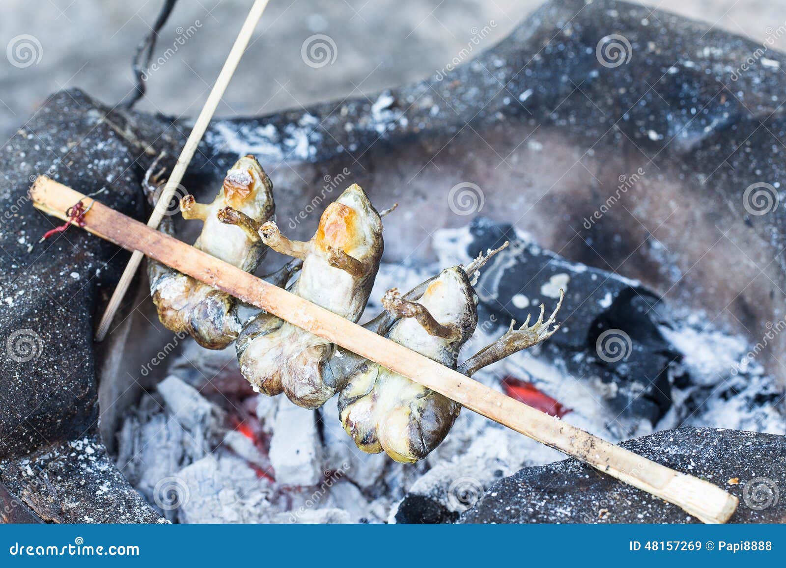 白盘上烤青蛙腿 库存照片. 图片 包括有 烹调, 食物, 食谱, 敌意, 美食, 荷兰芹, 餐馆, 茶点 - 187923566