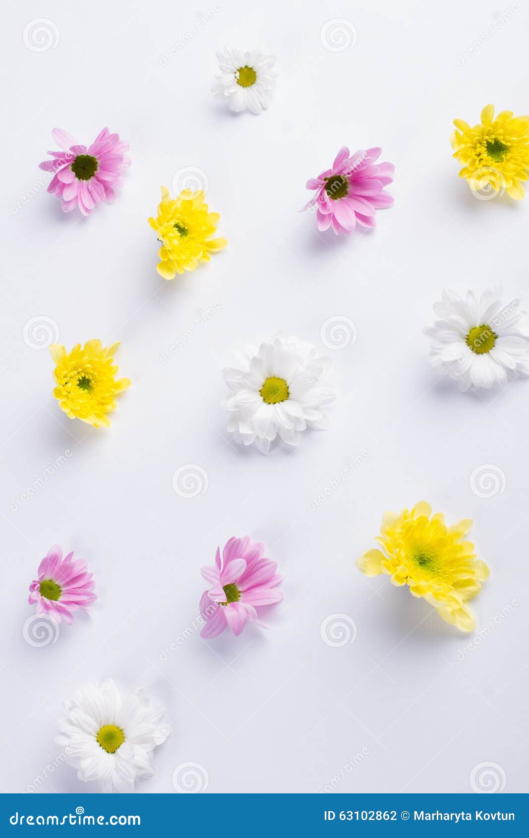 库存例证: 精美花卉背景