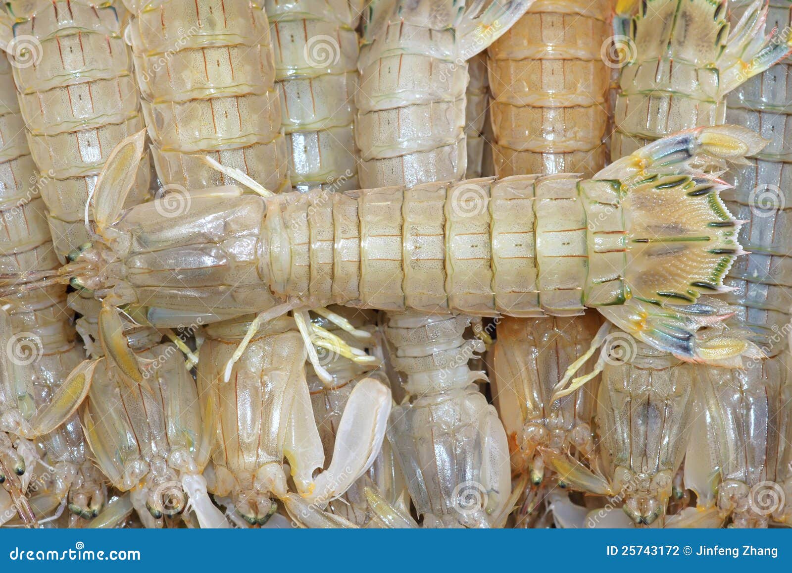 海鲜市场里的虾蛄照片摄影图片_ID:158126848-Veer图库