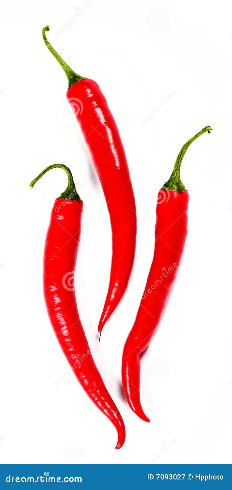 免版税图库摄影