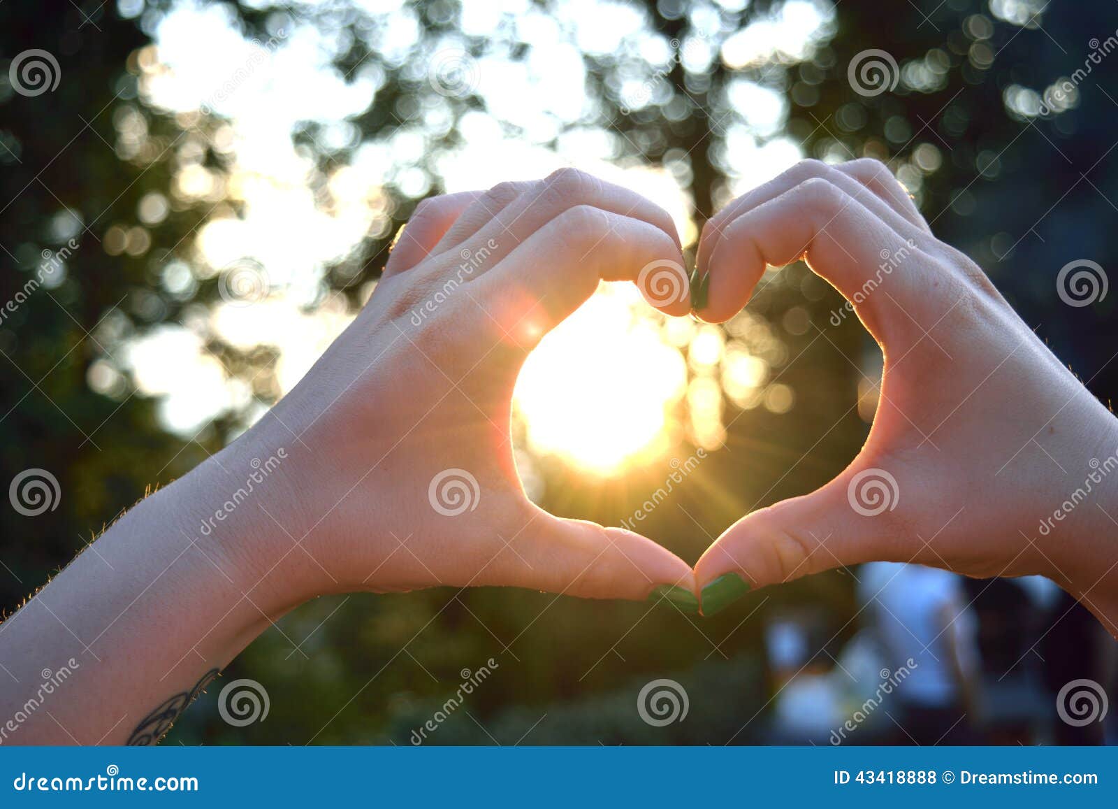 图片 包括有 希望, 妇女, 本质, 形状, 华伦泰, 现有量, 重点, 照片