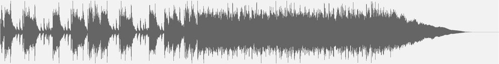 Audiowelle