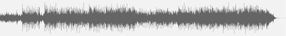 Audiowelle