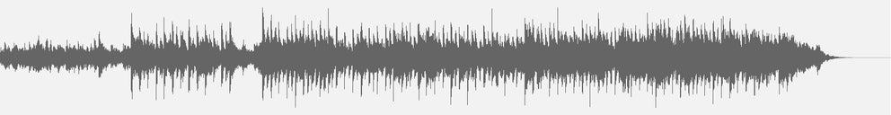 Audiowelle