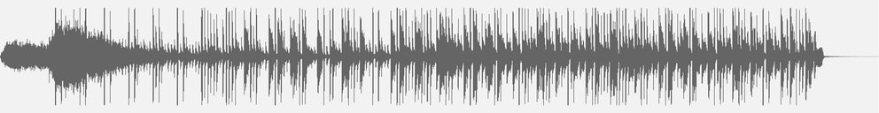 Audiowelle