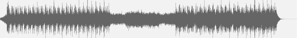 Audiowelle