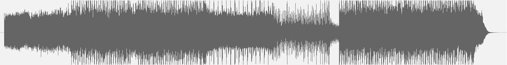 Audiowelle