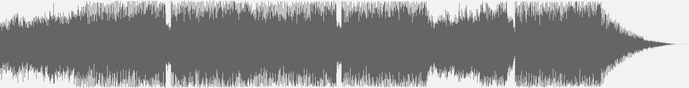 Audiowelle