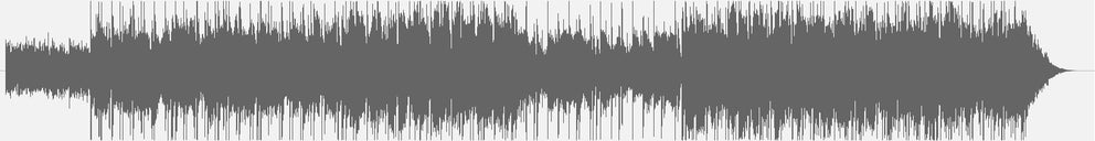 Audiowelle