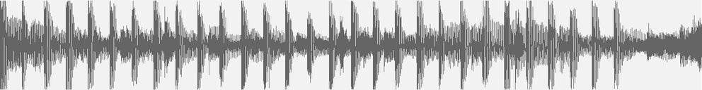 Audiowelle