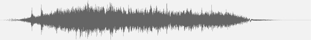 Audiowelle
