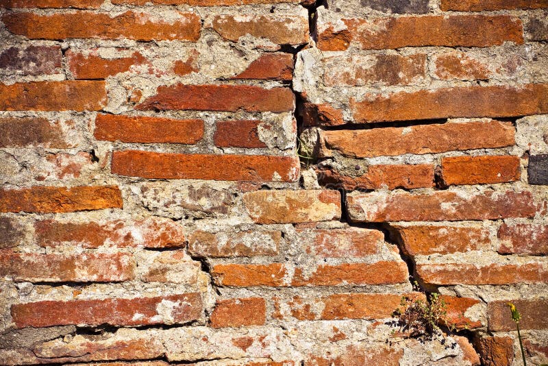 In The Crack Pictures