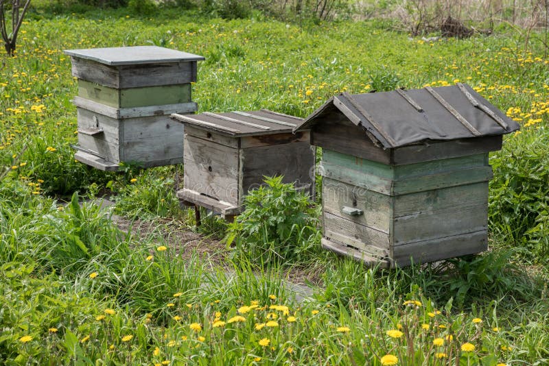 Купить Новые Улья Деревянные В Самарской Области