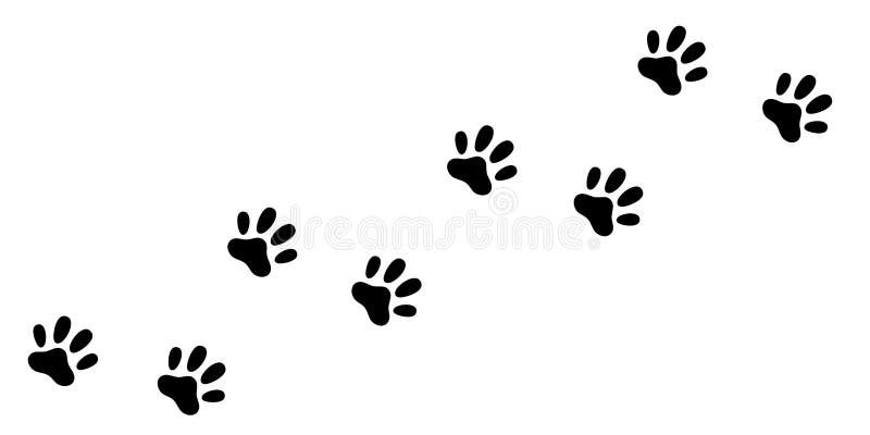 Kalel Kitten Feet