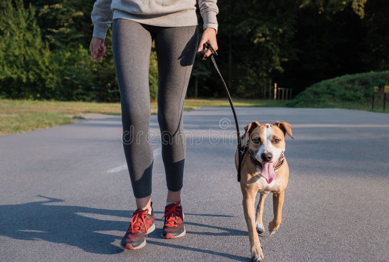 Girls Doing Dogs